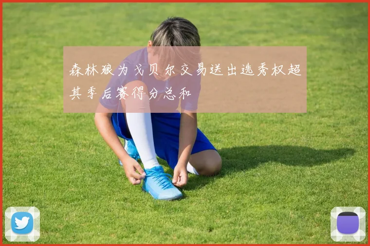 森林狼为戈贝尔交易送出选秀权超其季后赛得分总和