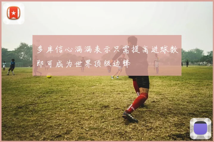 多库信心满满表示只需提高进球数即可成为世界顶级边锋