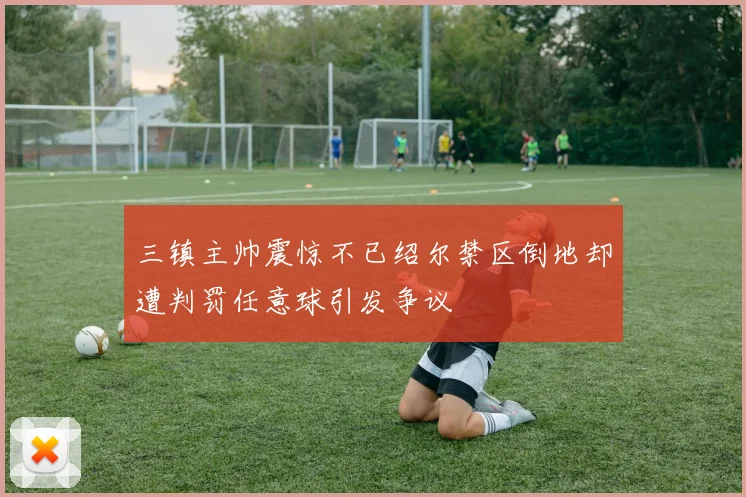 三镇主帅震惊不已绍尔禁区倒地却遭判罚任意球引发争议